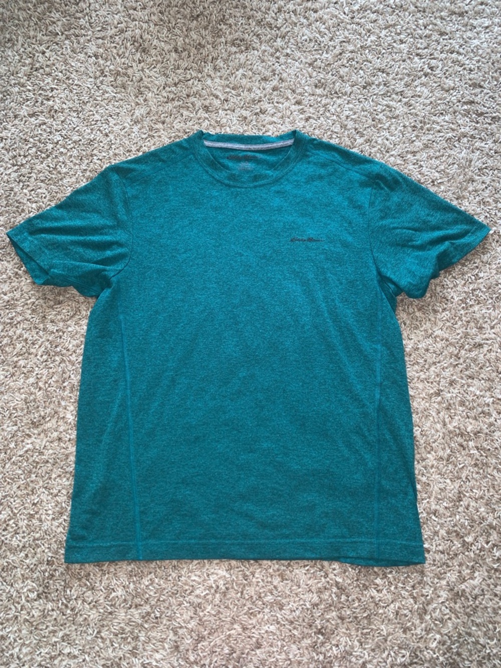 Eddie Bauer Men's Teal Short-Sleeve Performance FreeDry Dri-Fit T-Shirt medium